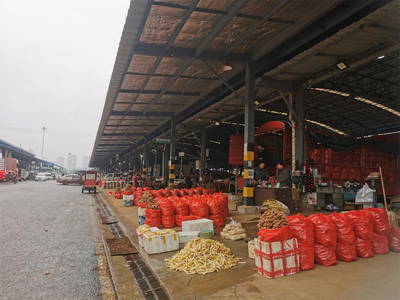 春節(jié)“菜籃子”供應(yīng)充足，雙福國(guó)際農(nóng)貿(mào)城假期交易量近5萬(wàn)噸保民生