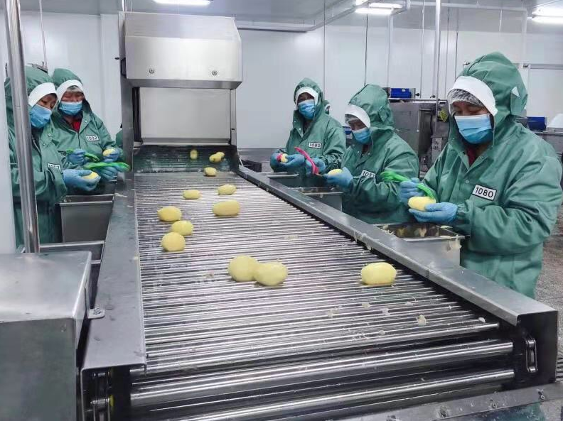 安徽淮北 延伸果蔬加工產業鏈，出口罐頭生產忙，激活食用農產品批發新動能